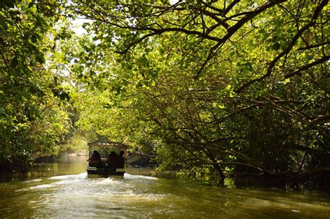 Trivandrum: The Evergreen City of India .